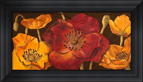 Framed Dazzling Poppies I (black background) Print