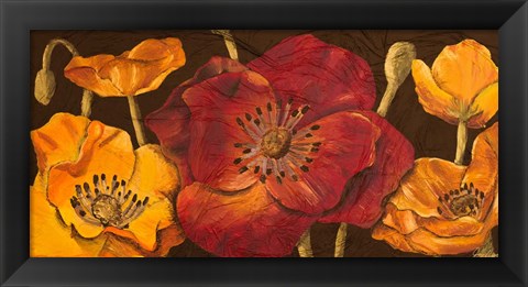 Framed Dazzling Poppies I (black background) Print