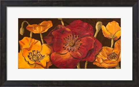 Framed Dazzling Poppies I (black background) Print