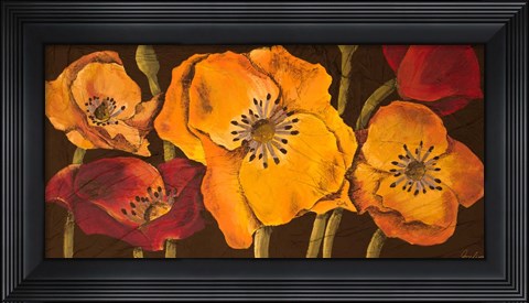 Framed Dazzling Poppies II (black background) Print