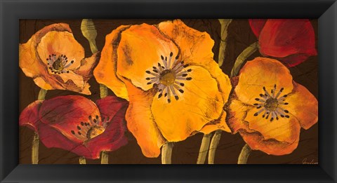 Framed Dazzling Poppies II (black background) Print