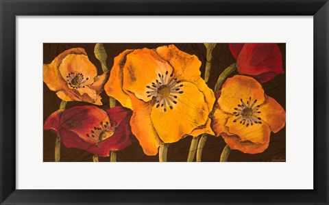 Framed Dazzling Poppies II (black background) Print