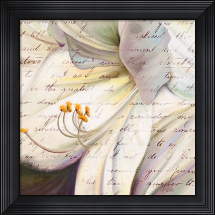 Framed Lily Script I Print