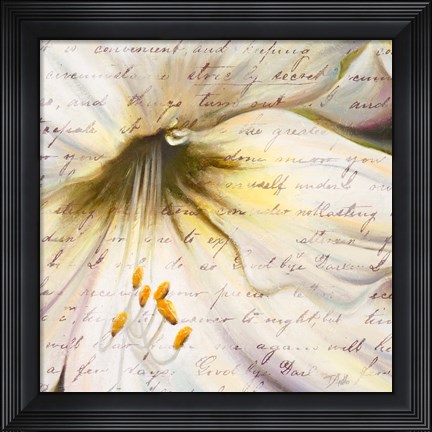 Framed Lily Script II Print