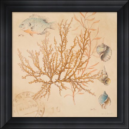 Framed Coral Medley I Print