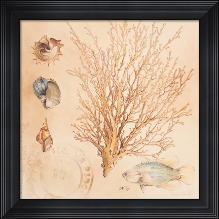 Framed Coral Medley II Print