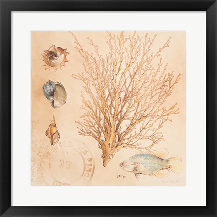 Framed Coral Medley II Print