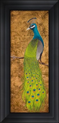 Framed Peacocks I Print