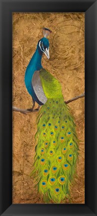 Framed Peacocks II Print