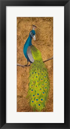 Framed Peacocks II Print