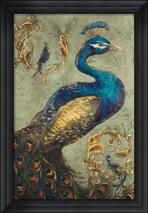 Framed Peacock on Sage I Print