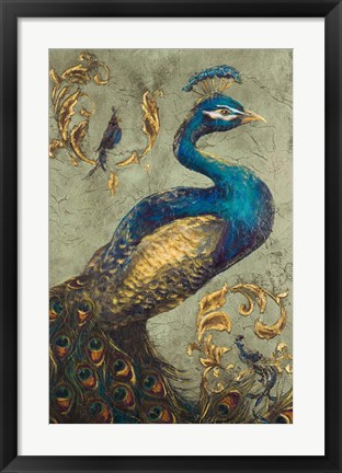 Framed Peacock on Sage I Print