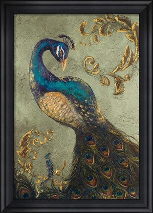 Framed Peacock on Sage II Print