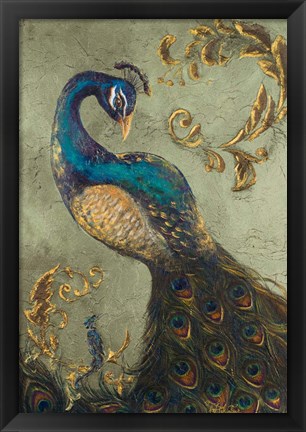 Framed Peacock on Sage II Print