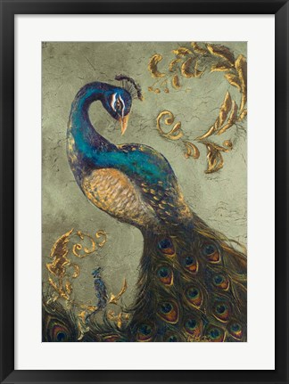 Framed Peacock on Sage II Print