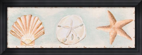 Framed Sandy Shells I Print