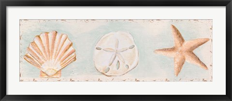 Framed Sandy Shells I Print