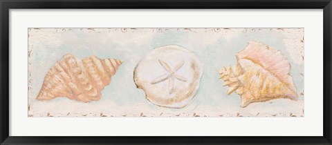 Framed Sandy Shells II Print