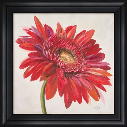 Framed Red Gerber Daisy Print