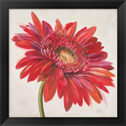 Framed Red Gerber Daisy Print