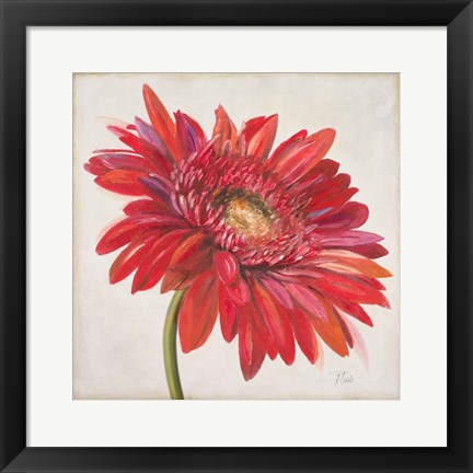 Framed Red Gerber Daisy Print