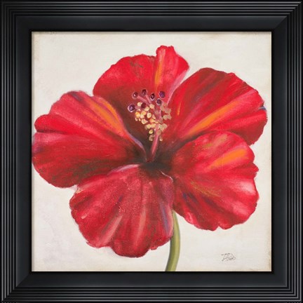 Framed Red Hibiscus Print