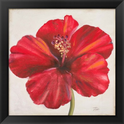 Framed Red Hibiscus Print