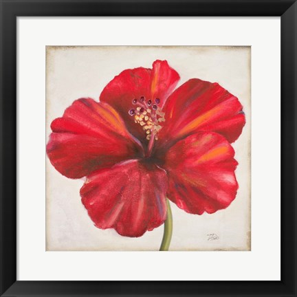 Framed Red Hibiscus Print