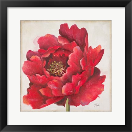 Framed Red Peony Print