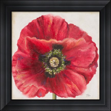 Framed Red Poppy Print