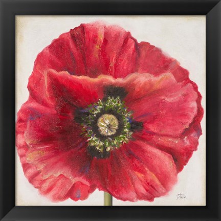 Framed Red Poppy Print