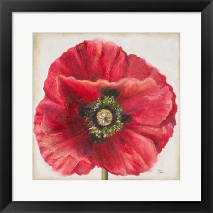 Framed Red Poppy Print