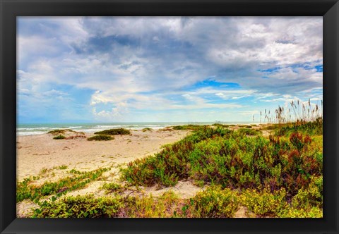 Framed Beach Island II Print