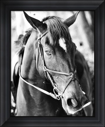 Framed Derby I Print