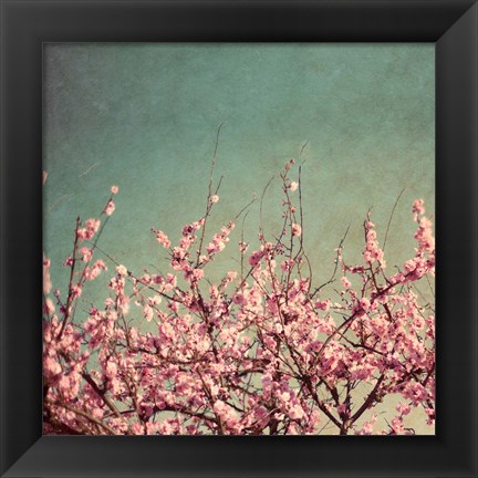 Framed Springtime II Print