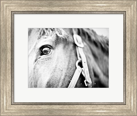 Framed Horseback Riding Print