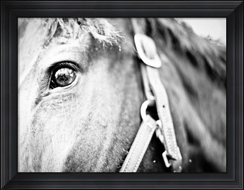 Framed Horseback Riding Print
