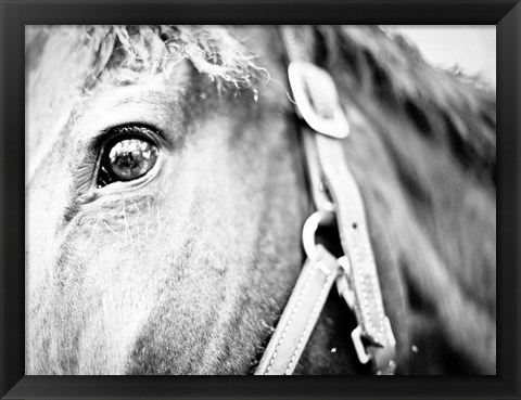 Framed Horseback Riding Print