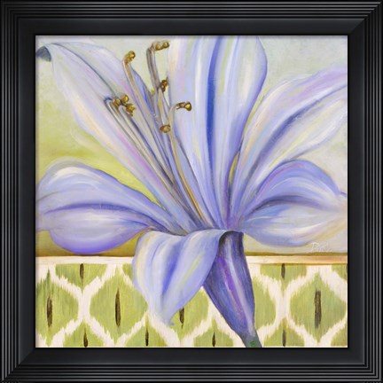 Framed African Lily I Print