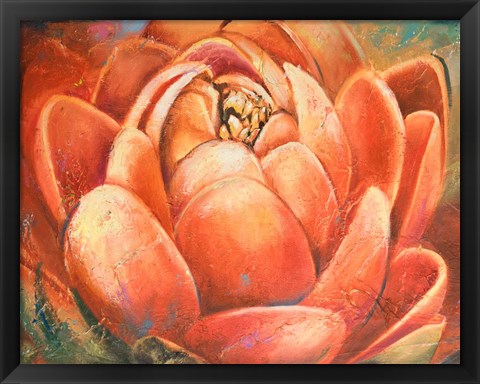 Framed Red Lotus II Print