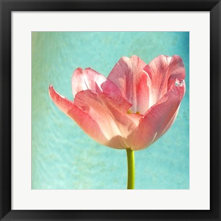 Framed Pink Tulip Print