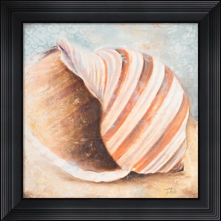 Framed Seashell Collection I Print