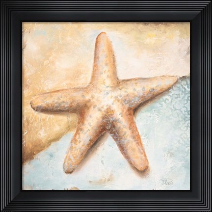 Framed Seashell Collection II Print