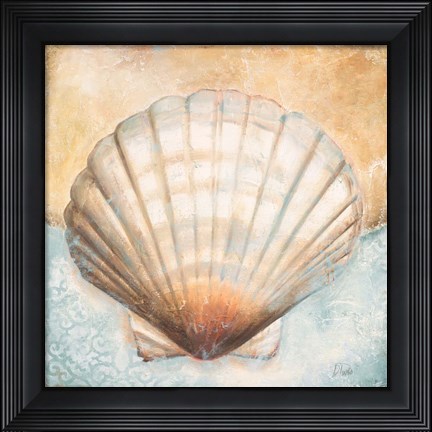 Framed Seashell Collection III Print
