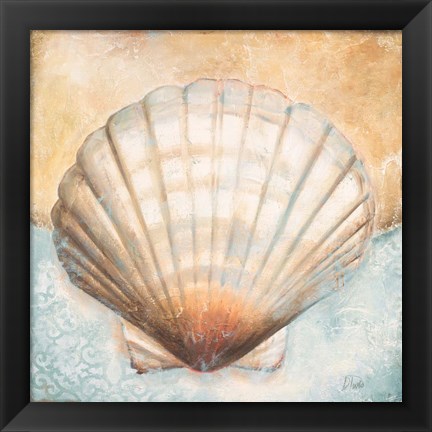 Framed Seashell Collection III Print