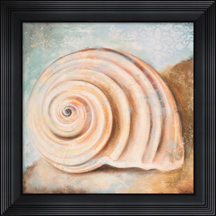 Framed Seashell Collection IV Print
