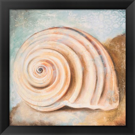 Framed Seashell Collection IV Print
