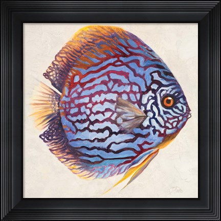 Framed Little Fish I Print