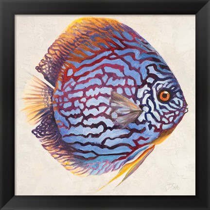 Framed Little Fish I Print