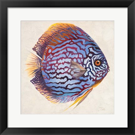 Framed Little Fish I Print